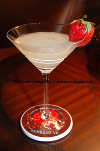 Dragon Berry Daiquiri - created by Cheri Loughlin - photo copyright Cheri Loughlin