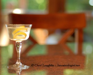 Martini - photo copyright Cheri Loughlin