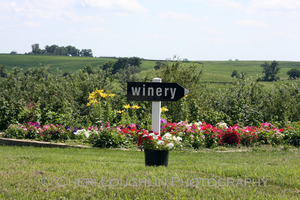 Breezy Hills Vineyard winery sign greets visitors as they enter. - photo by Cheri Loughlin, The Intoxicologist