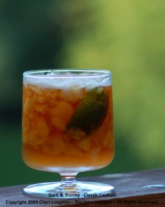 Dark & Stormy - Classic Cocktail - photo copyright Cheri Loughlin