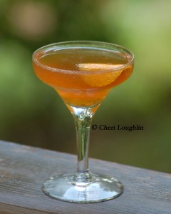 Peto Martini - photo copyright Cheri Loughlin