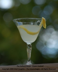 The Holland House - Classic Cocktail - photo copyright Cheri Loughlin