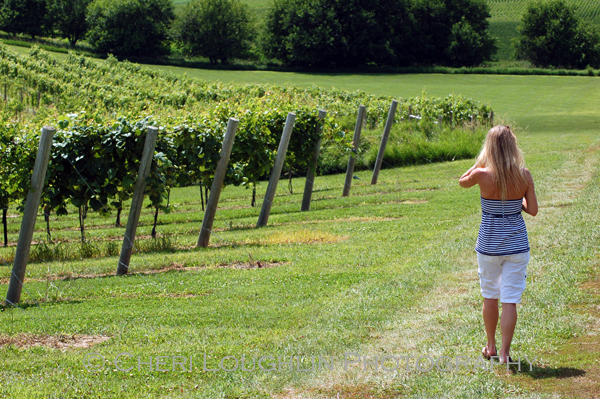 The Intoxicologist tours the grounds at Breezy Hills Vineyard