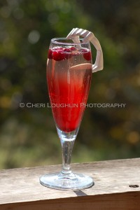 Transformation Twighlight Mocktail {recipe and photo credit: Mixologist Cheri Loughlin, The Intoxicologist