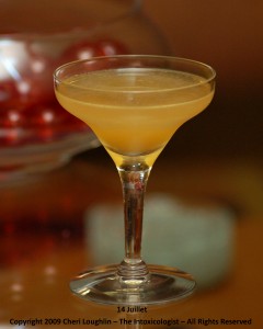 14 Juillet Armagnac Classic Style Cocktail - photo copyright Cheri Loughlin