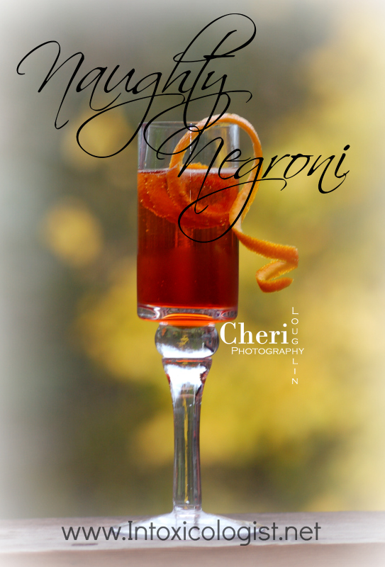 Naughty Negroni: Campari, Sweet Vermouth, Gin, Sparkling Moscato Wine -  www.Intoxicologist.net