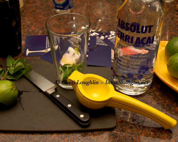 Absolut Berri Acai Mixing and Muddling - photo copyright Cheri Loughlin