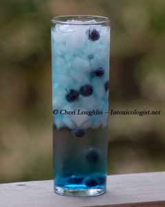 Boo-Berry Bubble - Three-O Bubble Vodka drink - created by Cheri Loughlin - photo copyright Cheri Loughlin
