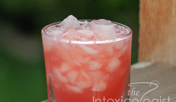 Watermelon Punch Drink - One Good Pinch Punch