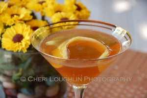 The Hennessy Martini is a 2 ingredient cocktail that builds with simplicity, yet sips with style and sophistication. It leans toward the style of classic cocktails in my opinion. - photo by Cheri Loughlin, The Intoxicologist