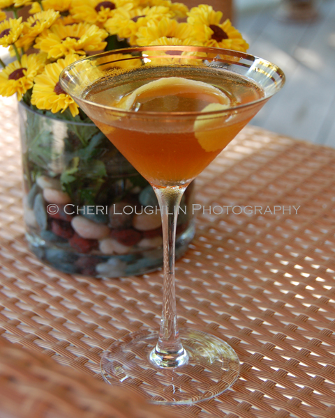 The Hennessy Martini recipe mere steps away from a variation on the classic French 75 and classic Sidecar. - photo by Cheri Loughlin, The Intoxicologist
