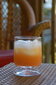 The Greyhound is a variation on the Salty Dog {Gin, Grapefruit Juice, Salted Rim} – photo by Cheri Loughlin, The Intoxicologist