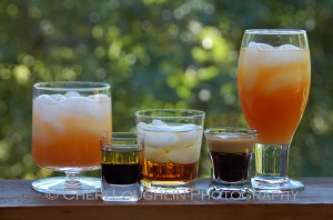 Easy two ingredient drink recipes include {left to right} the Greyhound long drink, Adios layered shot, Godfather short drink, Baby Guinness layered shot, and Monkey Wrench long drink. – photo by Cheri Loughlin, The Intoxicologist