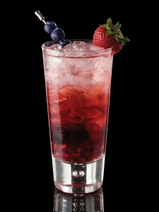 Berry Merry Christmas {photo courtesy Right Gin representatives}