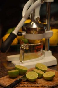 Fresh Cut Limes - photo property of Cheri Loughlin