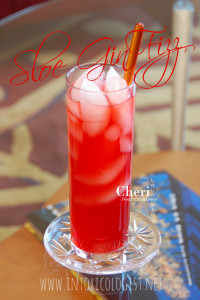 Sloe Gin Fizz