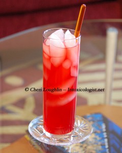 Sloe Gin Fizz photo copyright Cheri Loughlin