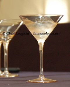 Chilled Martini Glass photo copyright Cheri Loughlin