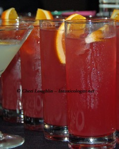 Punch Cocktails - photo copyright Cheri Loughlin