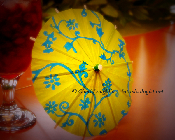 Cocktail Umbrella - photo copyright Cheri Loughlin