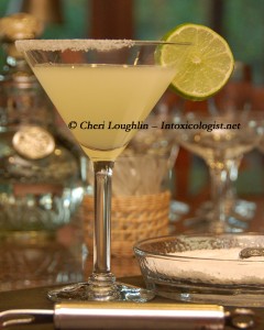 Simple Margarita - National Margarita Day - photo property Cheri Loughlin
