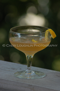 Kentucky Sparkler - photo copyright Cheri Loughlin