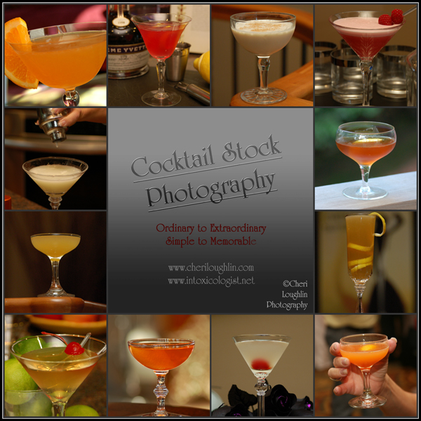 Cocktail Stock Photography Gin Classics - photo copyright Cheri Loughlin