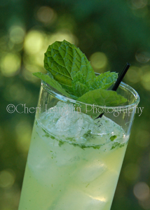 Ultimate Mojito 9 - photo copyright Cheri Loughlin (2)