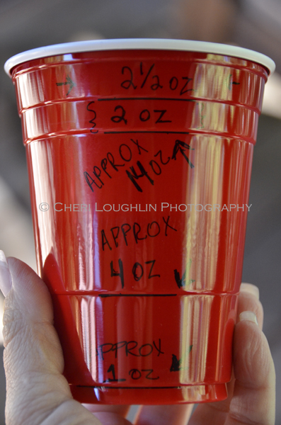 18 Ounce Party Cup Measurements 003 - photo copyright Cheri Loughlin