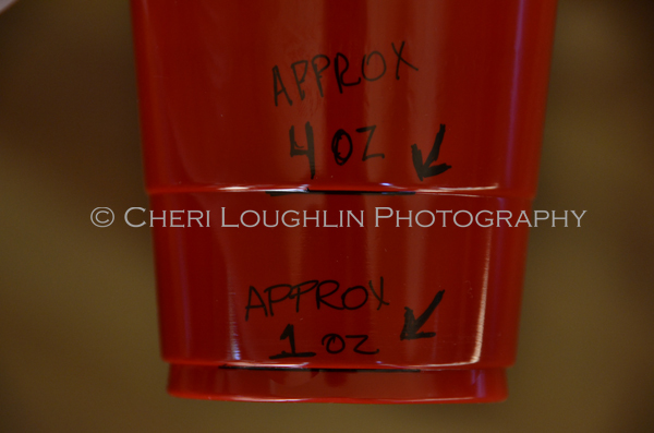 18 Ounce Party Cup Measurements 010 photo copyright Cheri Loughlin