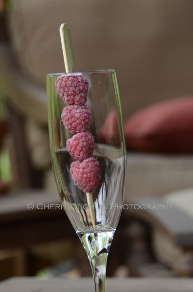 Frozen Raspberries 209 photo copyright Cheri Loughlin