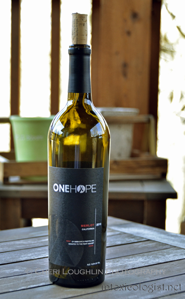 ONEHOPE Wine California Merlot 006