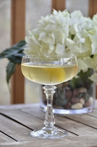 Martinez Cocktail | Classic Cocktails | The Intoxicologist