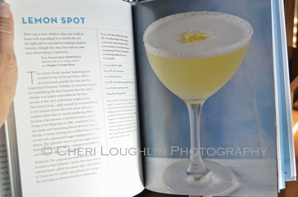 Vodka Distilled by Tony Abou-Ganim The Modern Mixologist - Lemon Spot cocktail as shown in the book. - photo by Mixologist Cheri Loughlin, The Intoxicologist