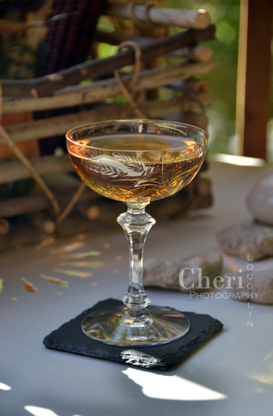 The Pocket Gold fall cocktail uses bourbon with sweeter finish, walnut liqueur, Tuaca and dry vermouth. Served martini style. Pocket Gold could also be served over a large single cube of ice for a slow melting drink. {recipe and photo credit: Mixologist Cheri Loughlin, The Intoxicologist www.intoxicologist.net}