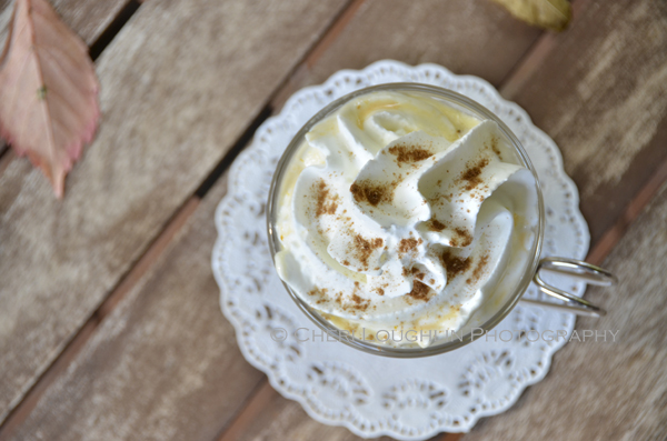 Sprinkle a little pumpkin pie spice on top of the whipped cream for a Pumpkin Pie White Hot Chocolate that is out of this world. Aroma and flavor combine deliciously. {recipe and photo credit: Mixologist Cheri Loughlin, The Intoxicologist. www.intoxicologist.net}