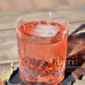 Autumn Breeze Drink Recipe - London Dry Gin, Aperol Aperitivo Liqueur, Cranberry Juice Cocktail, Pink Grapefruit Sparkling Mineral Water, Lime Slice or Grapefruit Twist Garnish - {recipe and photo credit: Mixologist Cheri Loughlin, The Intoxicologist www.intoxicologist.net}