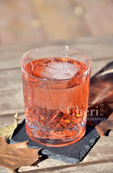 Autumn Breeze Drink Recipe - London Dry Gin, Aperol Aperitivo Liqueur, Cranberry Juice Cocktail, Pink Grapefruit Sparkling Mineral Water, Lime Slice or Grapefruit Twist Garnish - {recipe and photo credit: Mixologist Cheri Loughlin, The Intoxicologist www.intoxicologist.net}