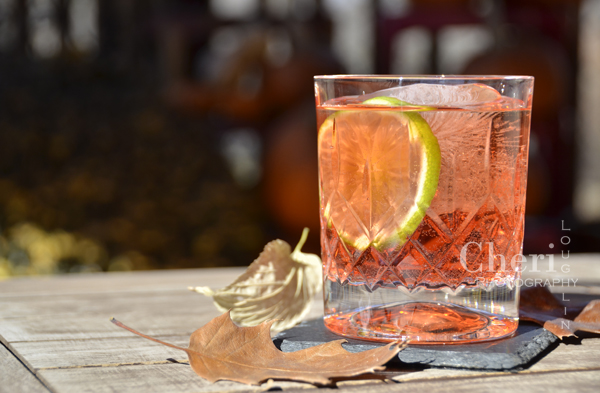 Autumn Breeze Drink Recipe - London Dry Gin, Aperol Aperitivo Liqueur, Cranberry Juice Cocktail, Pink Grapefruit Sparkling Mineral Water, Lime Slice or Grapefruit Twist Garnish - {recipe and photo credit: Mixologist Cheri Loughlin, The Intoxicologist www.intoxicologist.net}