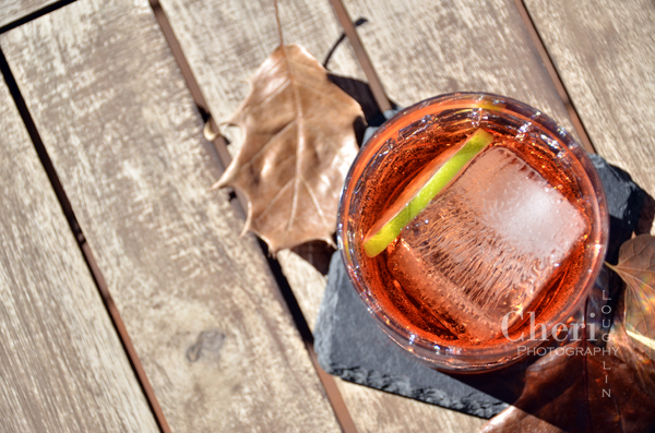 Autumn Breeze Drink Recipe - London Dry Gin, Aperol Aperitivo Liqueur, Cranberry Juice Cocktail, Pink Grapefruit Sparkling Mineral Water, Lime Slice or Grapefruit Twist Garnish - {recipe and photo credit: Mixologist Cheri Loughlin, The Intoxicologist www.intoxicologist.net}