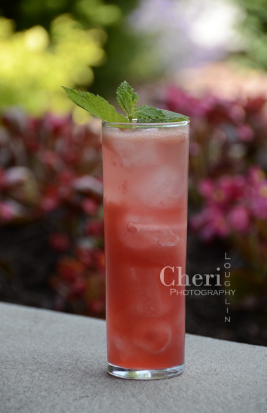 Raspberry Watermelon Mojito - Shellback Silver Rum, Watermelon, Raspberries, Lime, Mint, Simple Syrup, Club Soda or Champagne