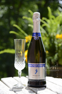 Prosecco is best served chilled. Barefoot Bubbly® Prosecco “offers vibrant aromas and flavors of pear, apple and peach with zesty lemon finish.” – Barefoot Wine & Bubbly tasting notes. Varietal: Glera grapes grown in the Prosecco region in Northeast Italy. Alcohol Level: 11% Suggested Retail: $10