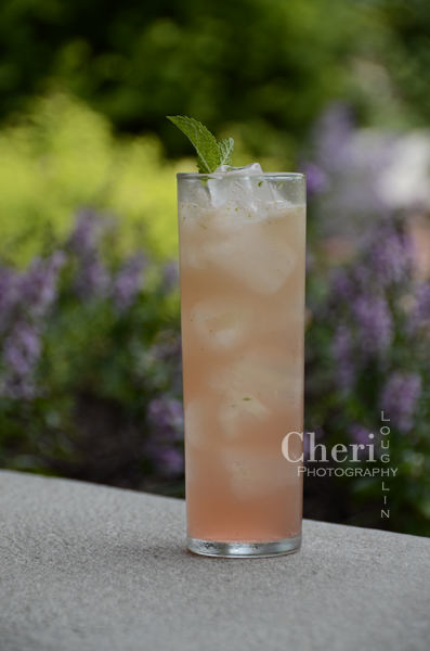 Melon Mojito – recipe by Cheri Loughlin, The Intoxicologist 2 ounces Silver Rum 1 cup fresh Watermelon – cut into small chunks 3/4 cup fresh Cantaloupe – cut into small chunks 15 fresh Mint Leaves 1 ounce fresh Lemon Juice 1/2 ounce Simple Syrup Watermelon, Cantaloupe, Mint Sprig Garnish