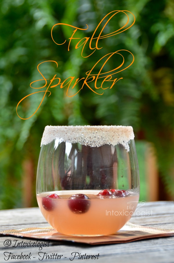 Kick off the next phase of the holiday season with a Fall Sparkler Thanksgiving inspired cocktail with sugar frosted rim.