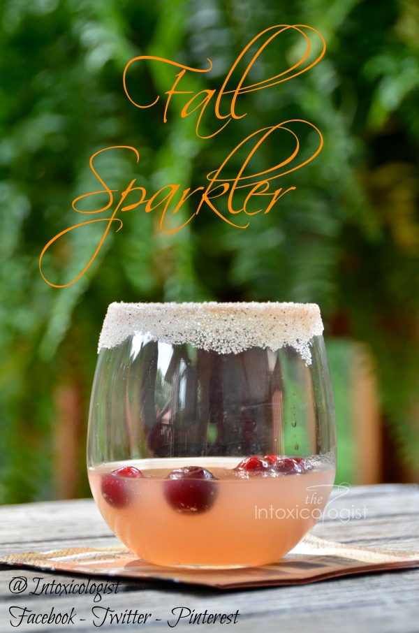 Kick off the next phase of the holiday season with a Fall Sparkler Thanksgiving inspired cocktail with sugar frosted rim. 