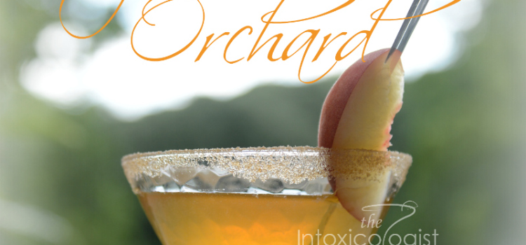 The Glittering Spiced Orchard cocktail gets its name from the wonderful spiced rim. The flavor is sweet apple with splash of peach to complement wine.