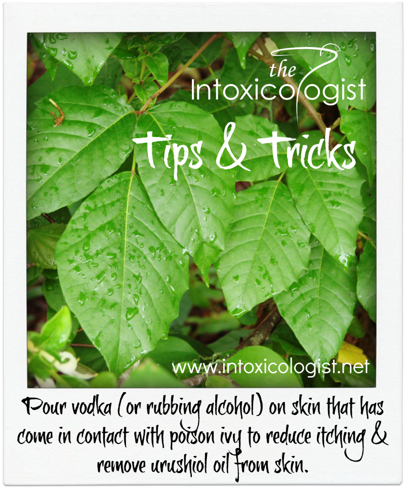 Pour vodka or rubbing alcohol on skin that has come in contact with poison ivy to reduce itching and remove urushiol oil from skin.