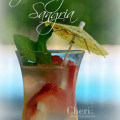 Refreshing Red Sangria serves 6 - www.intoxicologist.net