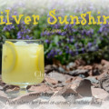 Silver Sunshine low calorie cocktail: 79 calories - www.intoxicologist.net