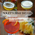 Sip NOLET’s Silver Dry Gin as a Martini, on the rocks, with a splash of lime and tonic, or in fruit forward recipes with fresh fruit juices.
